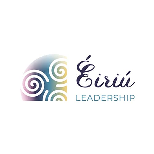 Eiriu Leadership Coaching Logo designer Cork Logo Design Ideas Diane Higgins Graphic Designer Ireland Branding Design Graphic Design