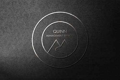 Quinn Management Consultancy Logo designer Cork Logo Design Ideas Diane Higgins Graphic Designer Ireland Branding Design Graphic Design